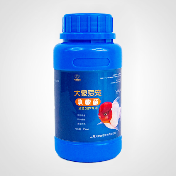 金魚-乳酸菌（250ml）