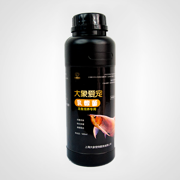 龍魚-乳酸菌（500ml）